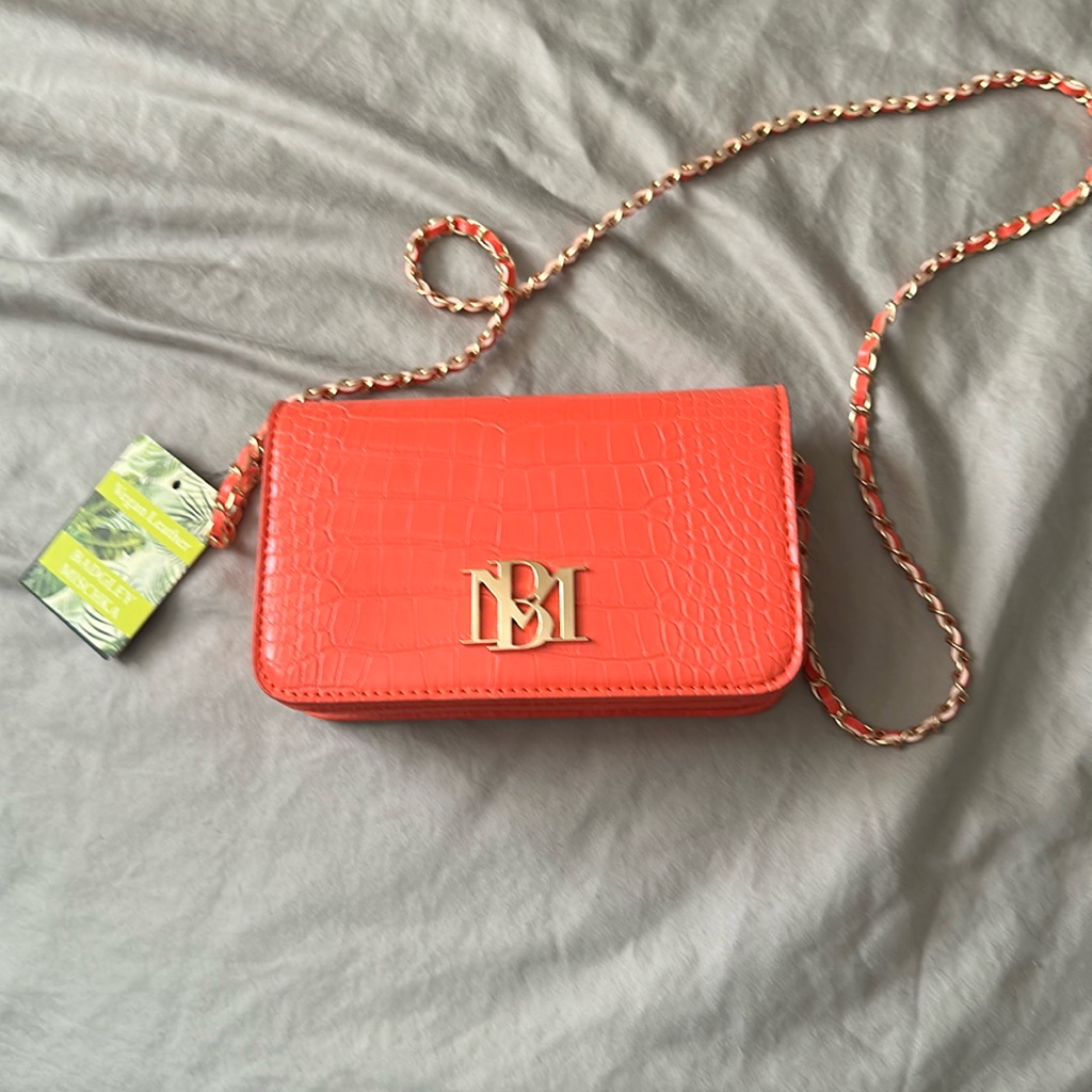 Nwt Badgley Mischka Purse